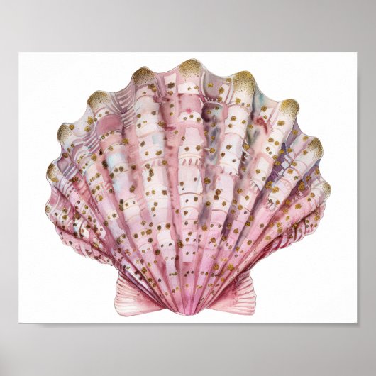Een roze ongewervelde zeeschelp poster (Voorkant)