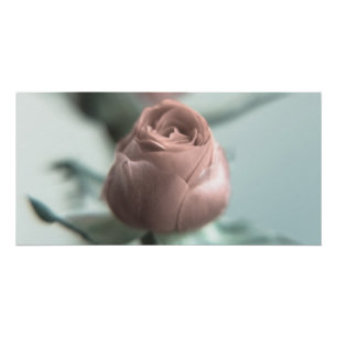 Een roze roos voor je lieveling... perfect poster