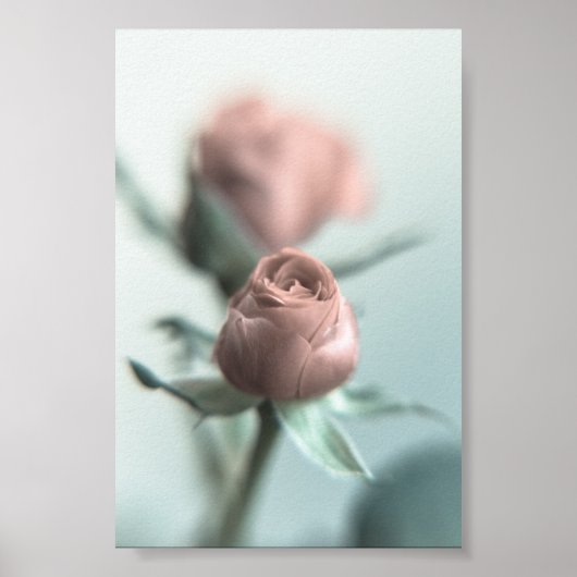 Een roze roos voor je lieveling... poster (Voorkant)