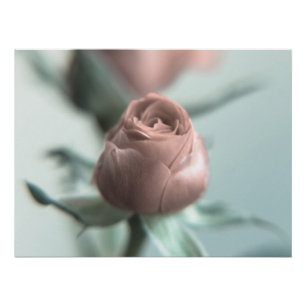Een roze Rose voor je liefje... Poster