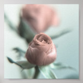 Een roze Rose voor je liefje... Poster (Voorkant)