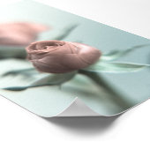 Een roze Rose voor je liefje... Poster (Hoek)