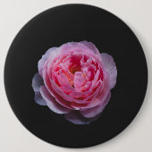 Een roze rozenbloem ronde button 6,0 cm (Voorkant)