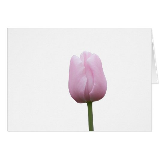 Eén roze tulpen met gedicht (Voorkant Horizontaal)