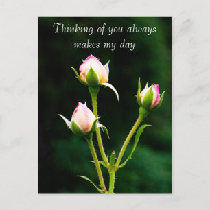 Een rozenknopbloem briefkaart