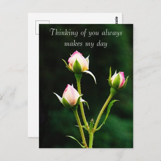 Een rozenknopbloem briefkaart (Voorkant / Achterkant)