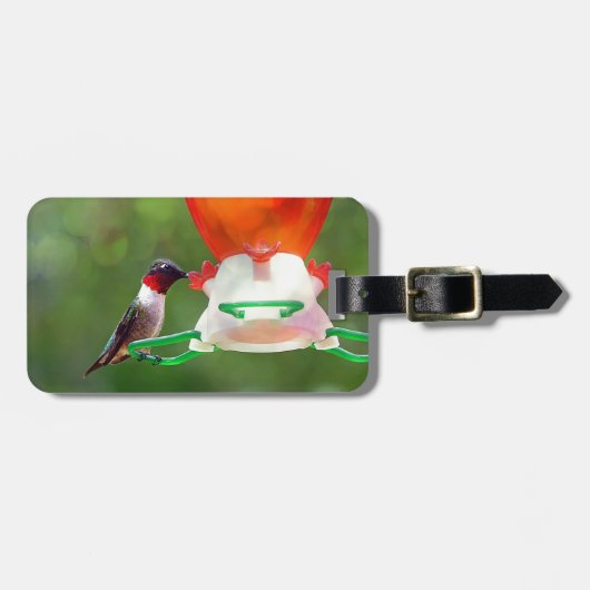 Een ruby Throated Hummingbird Bagagelabel (Voorkant horizontaal)