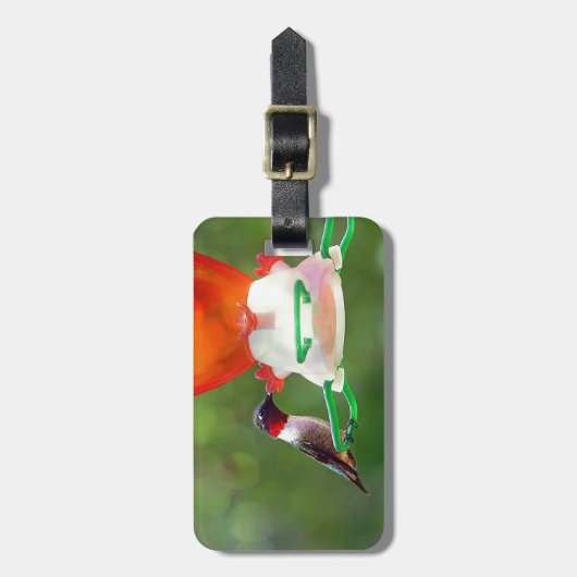 Een ruby Throated Hummingbird Bagagelabel (Voorkant verticaal)