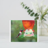 Een ruby Throated Hummingbird Briefkaart (Staand voorkant)