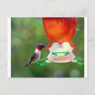 Een ruby Throated Hummingbird Briefkaart