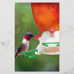 Een ruby Throated Hummingbird Briefpapier