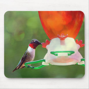 Een ruby Throated Hummingbird Muismat