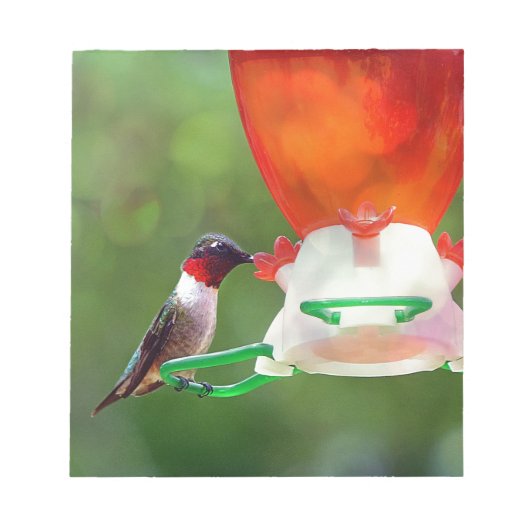Een ruby Throated Hummingbird Notitieblok (Voorkant)