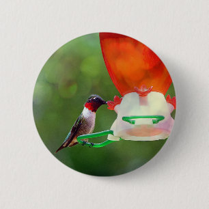 Een ruby Throated Hummingbird Ronde Button 5,7 Cm