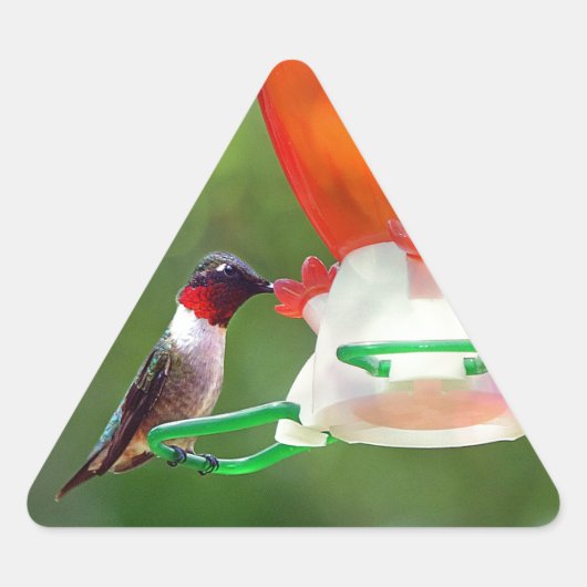 Een ruby Throated Hummingbird Sticker (Voorkant)