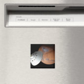 Een ruimteschip in aeroshell nadert Mars. Magneet (Insitu (Vaatwasser))