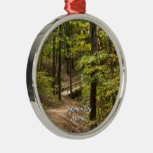 Een Runge Pathway Premium Ornament (Rechts)