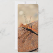 Een rustieke Dragonfly bruiloft uitnodiging (Achterkant)