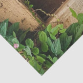 Een rustieke Italiaanse deur serie ontwerp #1 Tissuepapier (Detail)