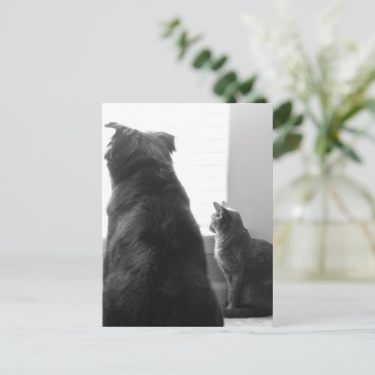 Een rustig moment delen briefkaart (Staand voorkant)