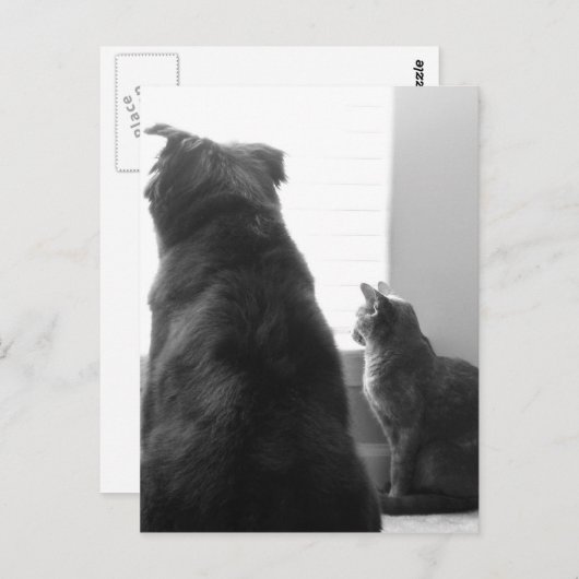 Een rustig moment delen briefkaart (Voorkant / Achterkant)