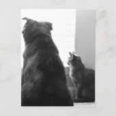 Een rustig moment delen briefkaart (Voorkant)