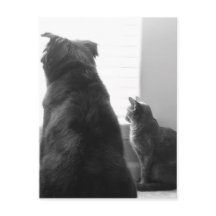 Een rustig moment delen