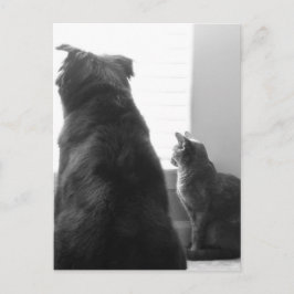 Een rustig moment delen briefkaart