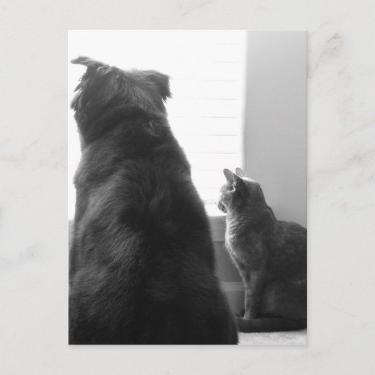 Een rustig moment delen briefkaart (Voorkant)