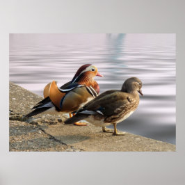 Een rustige avond! poster