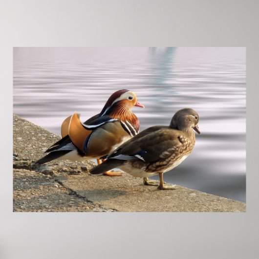 Een rustige avond! poster (Voorkant)