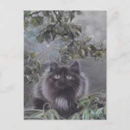 Een rustige plek - Cat Briefkaart