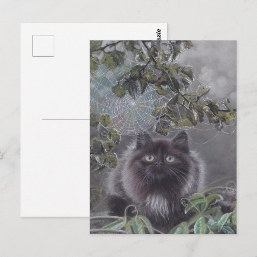 Een rustige plek - Cat Briefkaart (Voorkant / Achterkant)