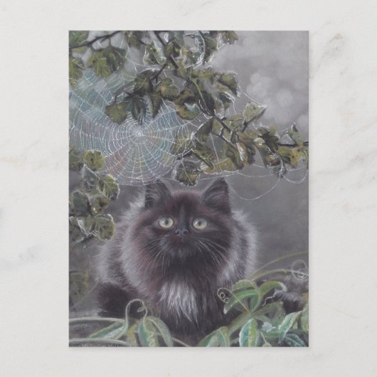 Een rustige plek - Cat Briefkaart (Voorkant)