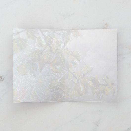 Een rustige plek - Cat en Spiderweb Wenskaart Bedankkaart (Binnen)