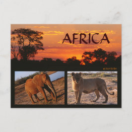 Een safari Briefkaart in Afrika