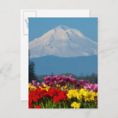 een samengeperst uitzicht van Mt Hood, Oregon en t Briefkaart (Voorkant / Achterkant)