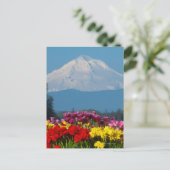 een samengeperst uitzicht van Mt Hood, Oregon en t Briefkaart (Staand voorkant)