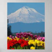 een samengeperst uitzicht van Mt Hood, Oregon en t Poster (Voorkant)