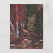 Een sanctionaire postkaart (Voorkant)