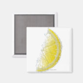 Een sappig, rijp organisch citroenwigje onder wate magneet (Voorkant / Achterkant)