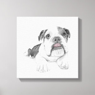 Een Sassy Bulldog Puppy tekening Canvas Afdruk
