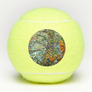 Een scala aan bladeren tennisballen