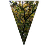 Een scala aan kleuren van bladeren vlaggetjes (Derde vlag)