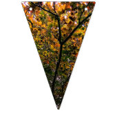 Een scala aan kleuren van bladeren vlaggetjes (Tweede vlag)