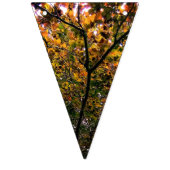 Een scala aan kleuren van bladeren vlaggetjes (Eerste vlag)