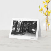 Een scène van het Kampeerterrein Kaart (Gele Bloem)