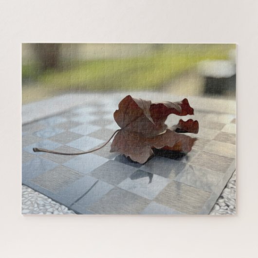 Een schaakles legpuzzel (Horizontaal)
