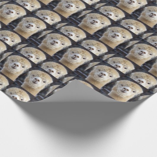 Een schattig gezicht van een alpiaca cadeaupapier (Hoek)