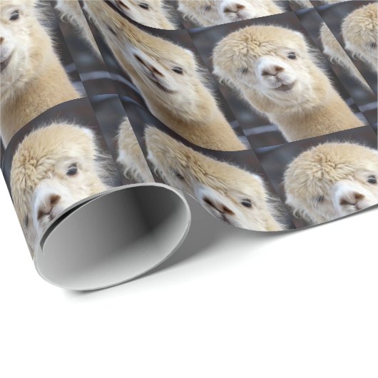 Een schattig gezicht van een alpiaca cadeaupapier (Rol Hoek)